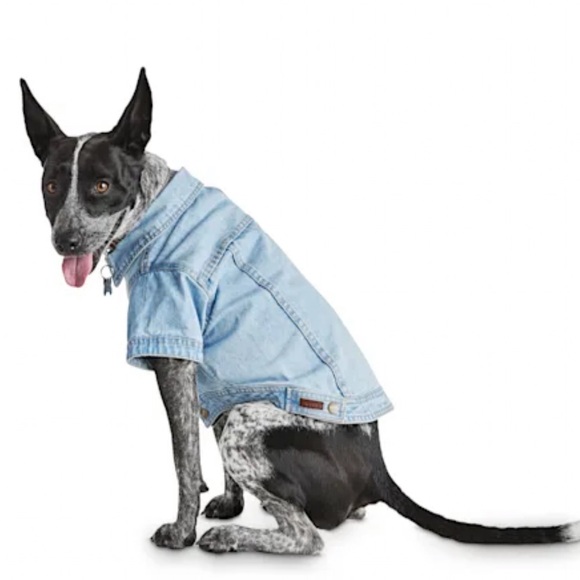 reddy dog clothes